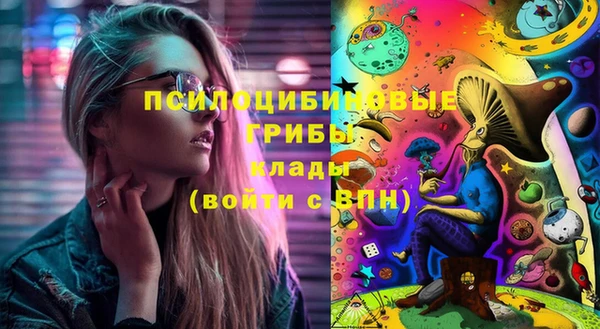 гашик Арсеньев