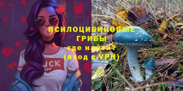бошки Армянск