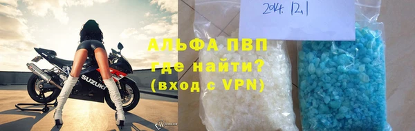 гашик Арсеньев