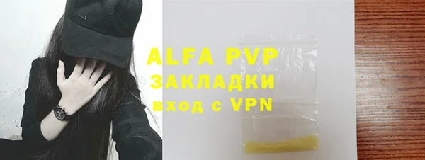 гашик Арсеньев