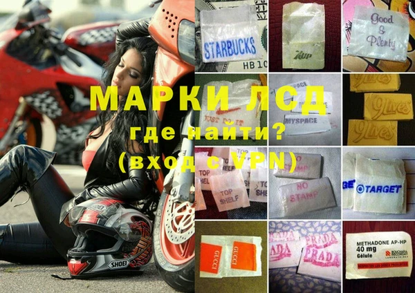 гашик Арсеньев